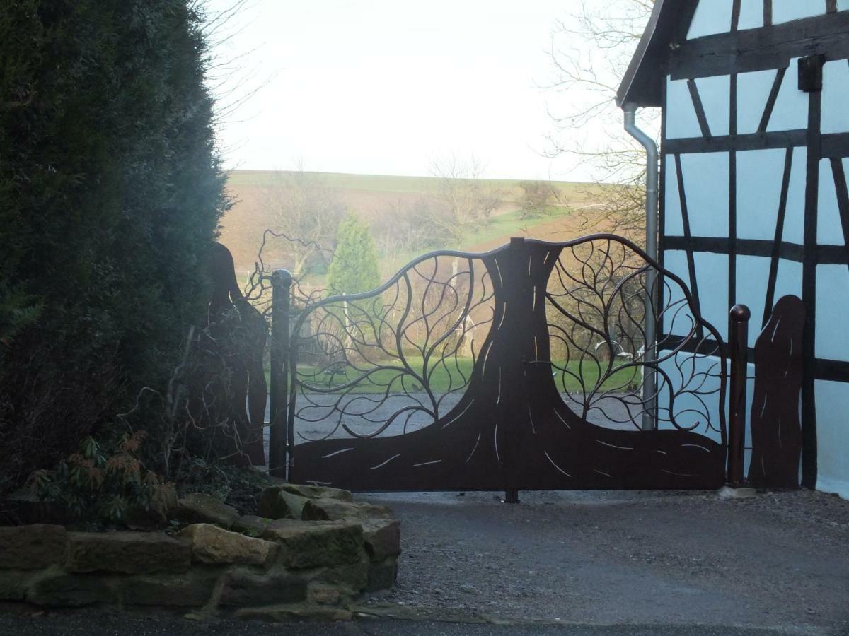 Gite Decouverte Alsace Kuhlendorf Kültér fotó