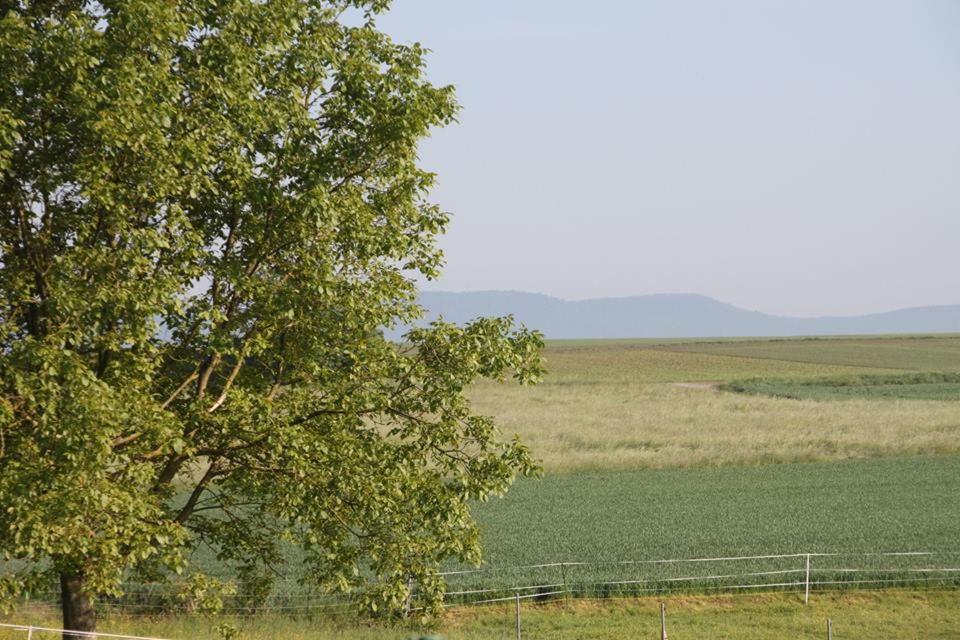 Gite Decouverte Alsace Kuhlendorf Kültér fotó
